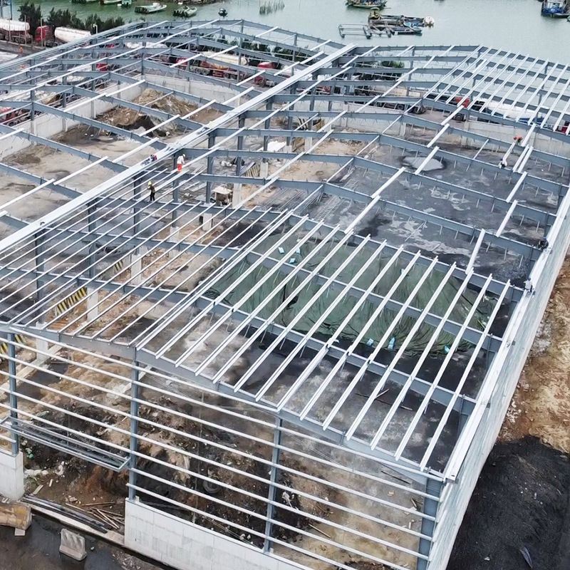 Steel Frame Storage Building
